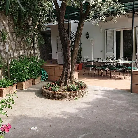 L'ulivina - Entspannung Garten Sonnenterrasse By Interhome ソレント