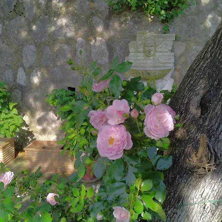 L'ulivina - Entspannung Garten Sonnenterrasse By Interhome Sorrento