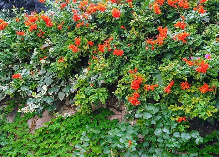 L'ulivina - Entspannung Garten Sonnenterrasse By Interhome Σπίτι διακοπών *