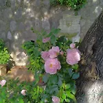L'ulivina - Entspannung Garten Sonnenterrasse By Interhome Σορέντο
