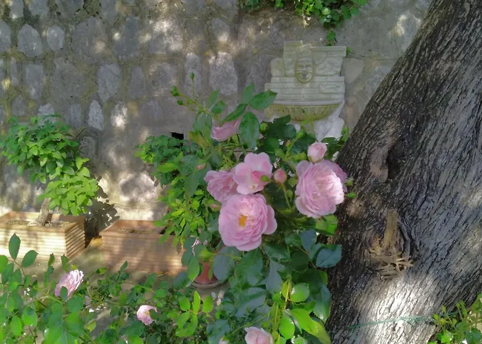 L'ulivina - Entspannung Garten Sonnenterrasse By Interhome Sorrento